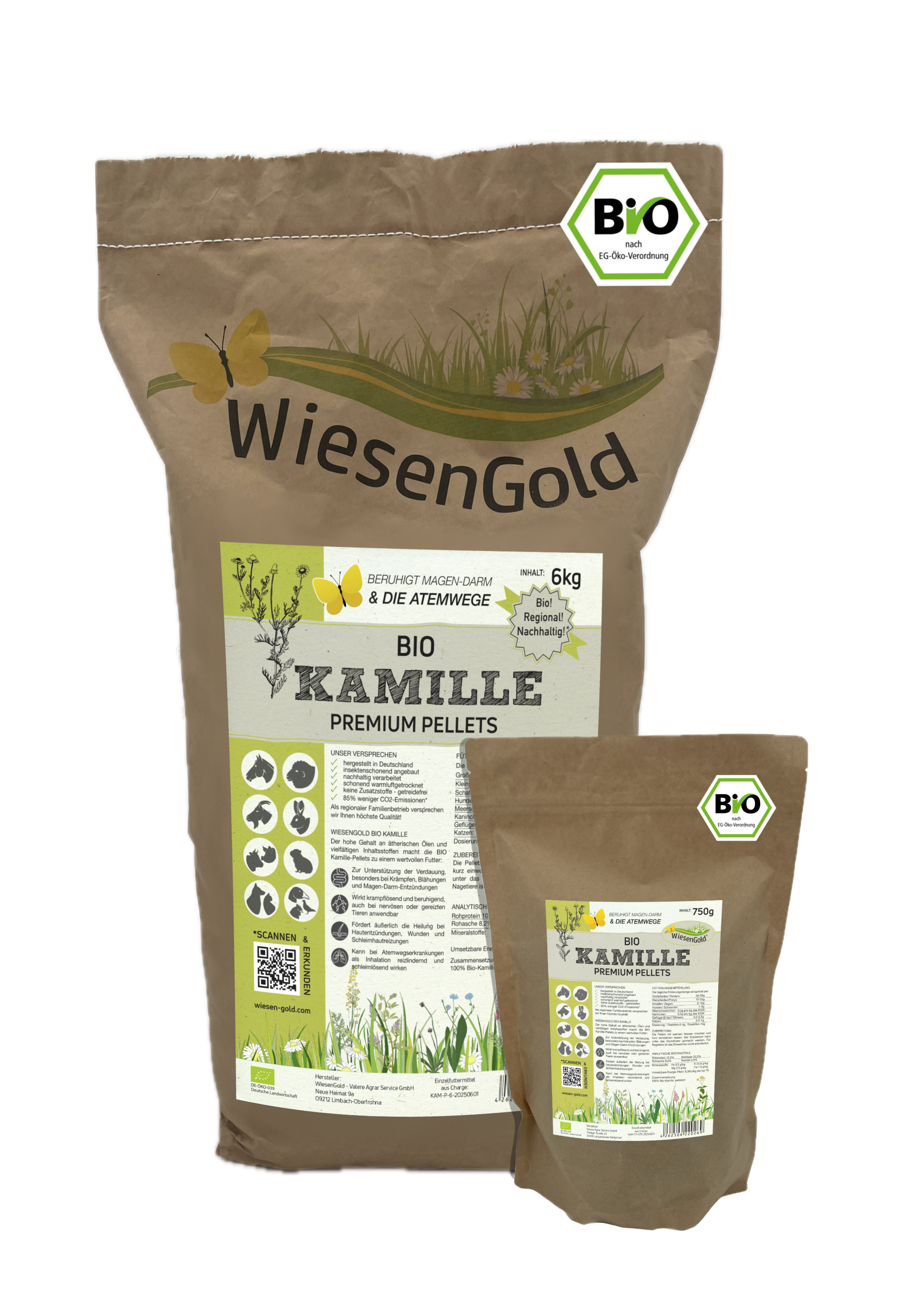 KamilleZsmstellungWebsite