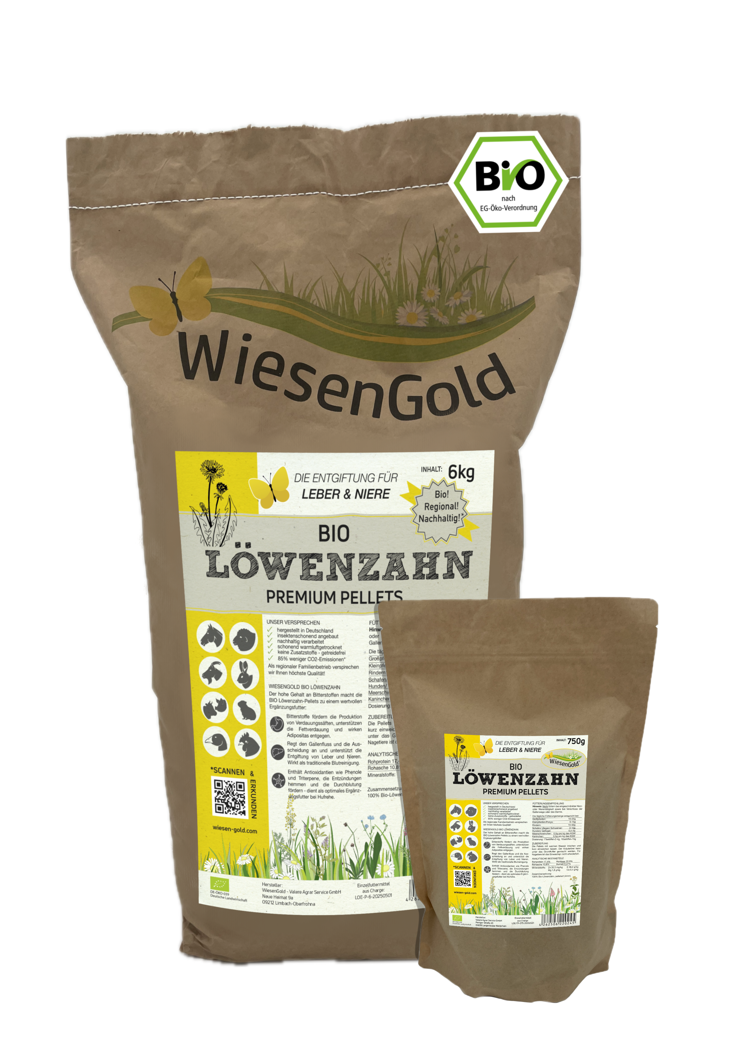 LöwenzahnZsmstellungWebsite