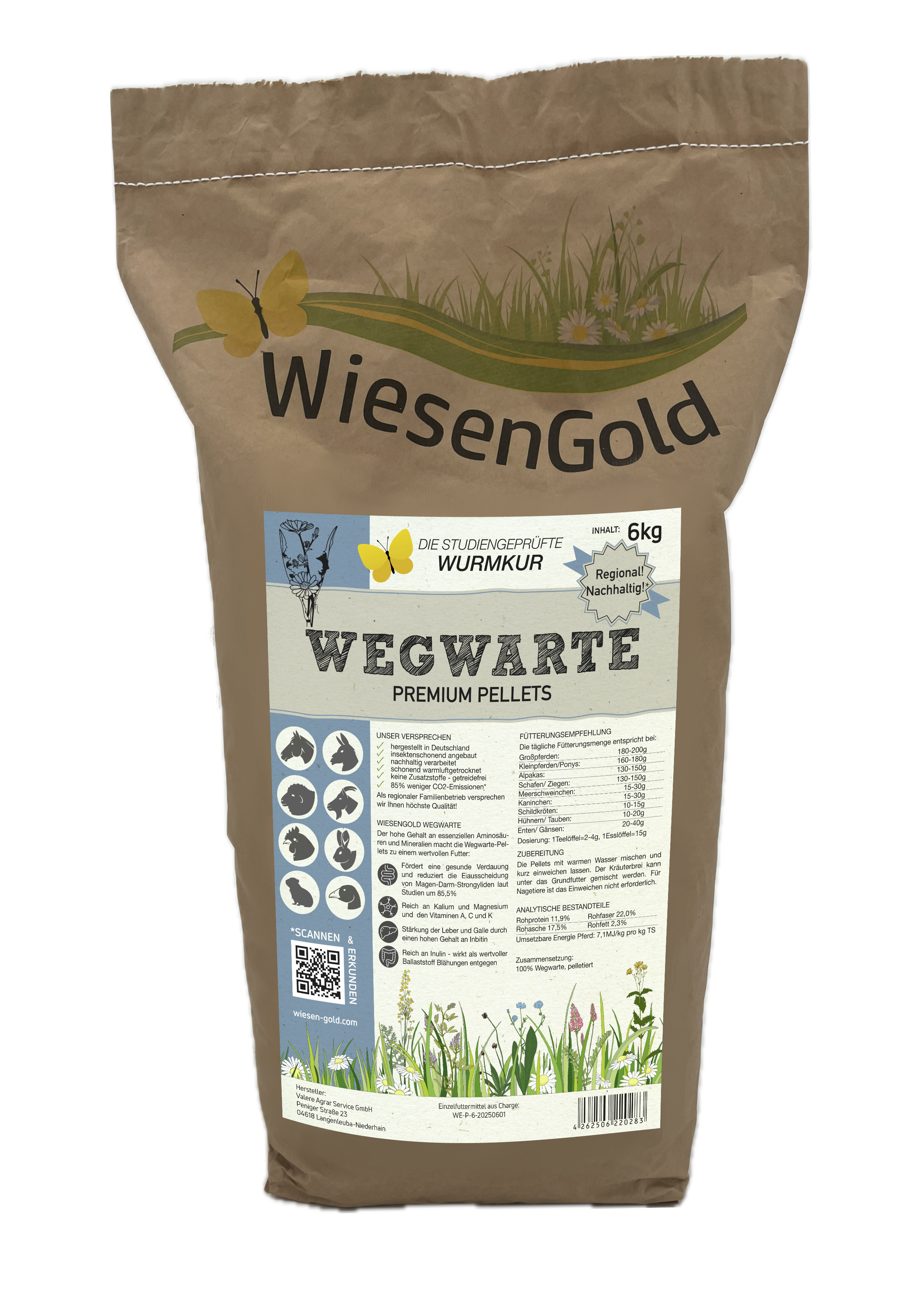 Wegwarte 011